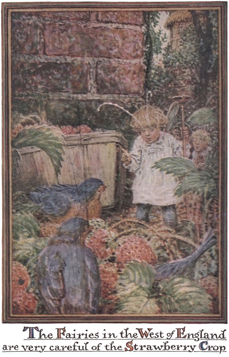 The Fairies in the West of England are very careful of the Strawberry Crop