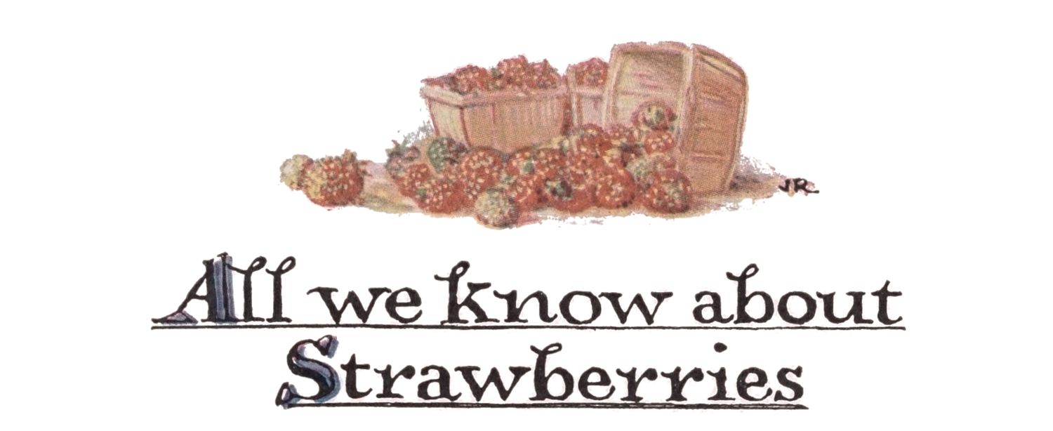 All we know about Strawberries