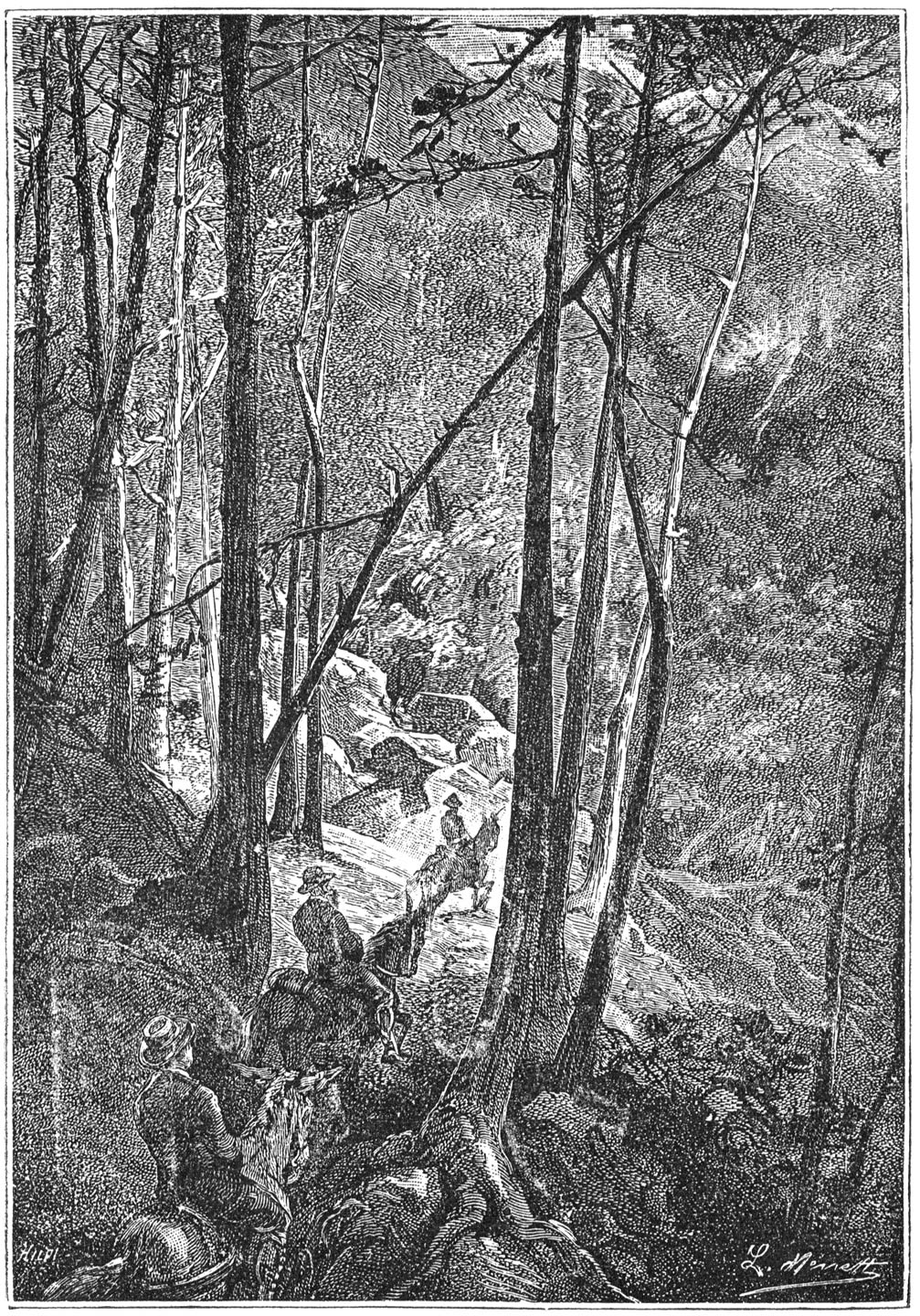 Dennen, pijnboomen en berken ontwaard werden. (Bladz. 206.)