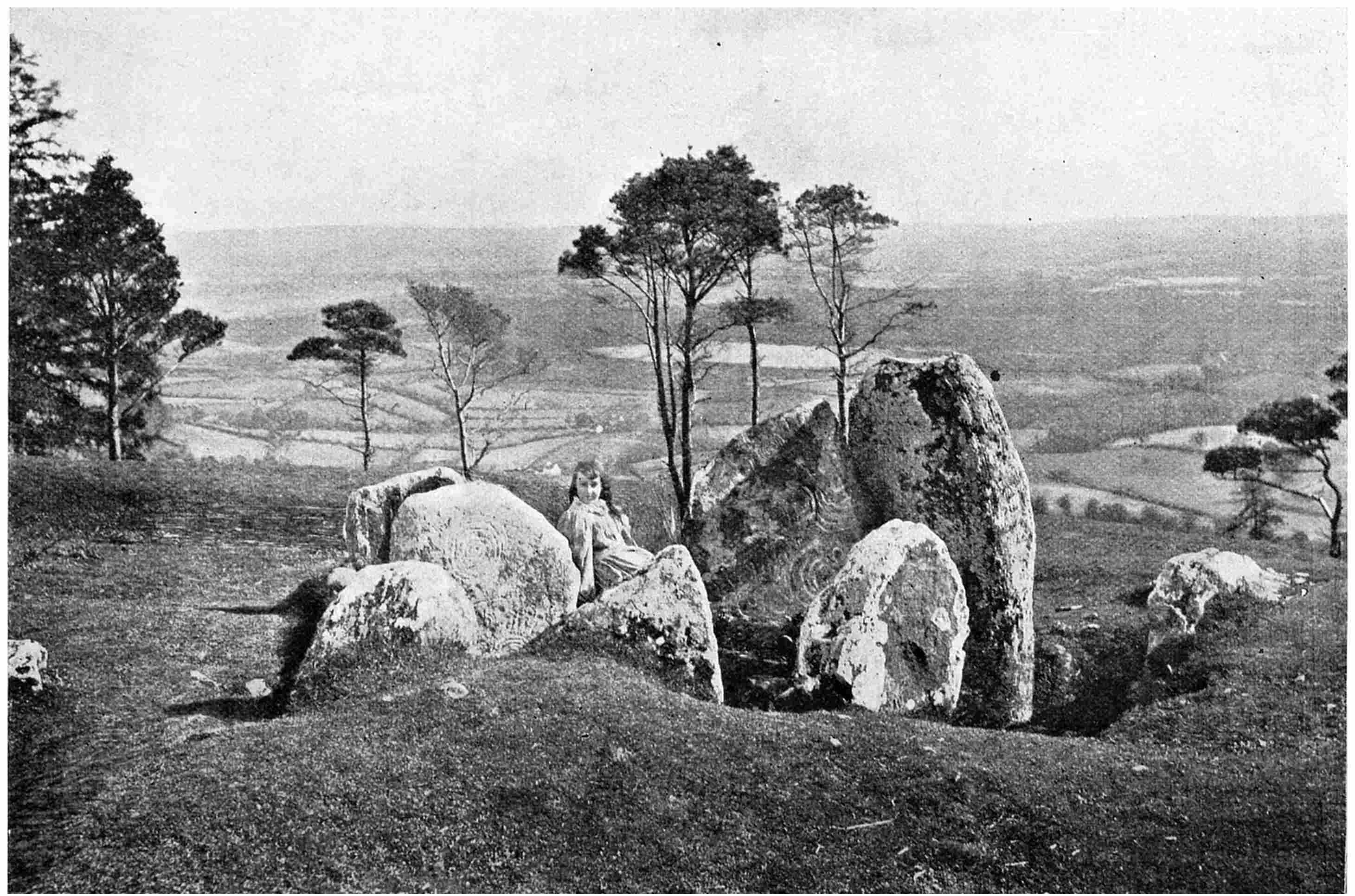 Wakeman's Handbook of Irish Antiquities, by John Cooke—A Project