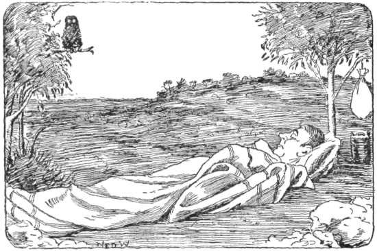 [Illustration: Man asleep outdoors]