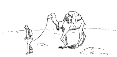 [Decoration: Man leading camel]