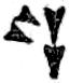 Cuneiform symbol