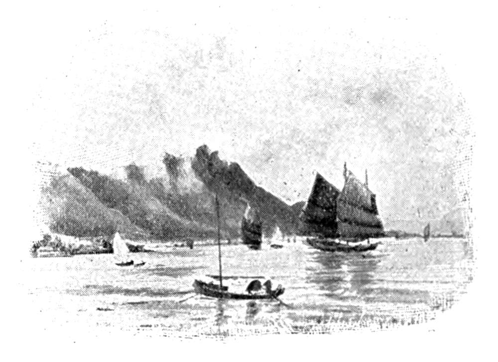 Sailboats in harbor