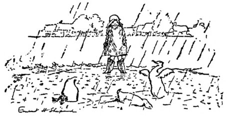 [Boy standing in puddle with ducks in the rain]
