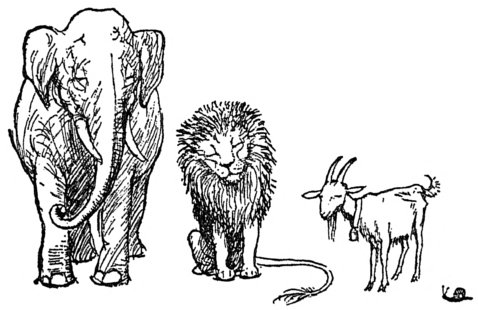 [Elephant, lion, goat and snail]