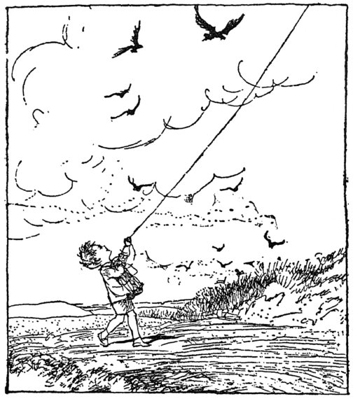 [Boy flying kite]