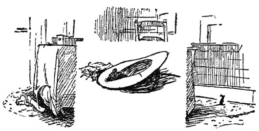 [Mouse in hat; boy searching under table]