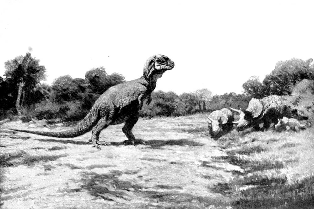 T. Rex Couldn't Stick Out Its Tongue, New Research Shows, Jackson School  of Geosciences