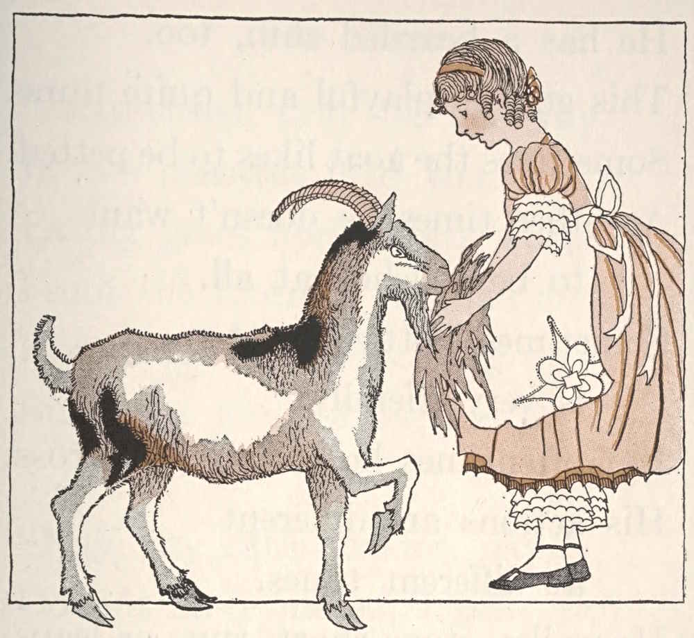Girl feeding goat