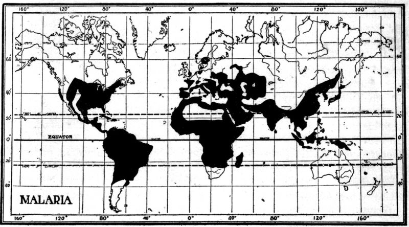 Mercator projection of the globe with malarial regions shown in black.