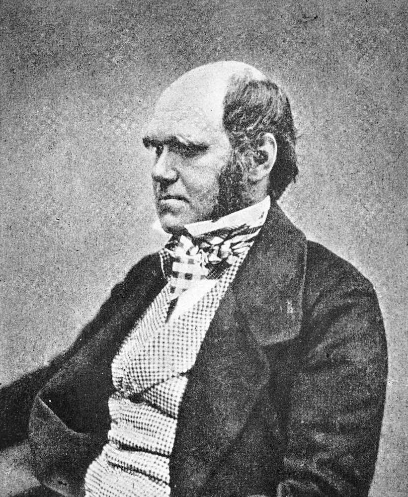 Charles Darwin quote: Whenever I have found that I have blundered, or  that