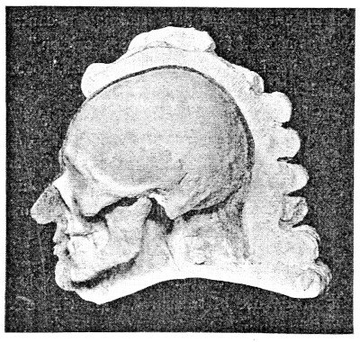 Skull of Sebastian Bac