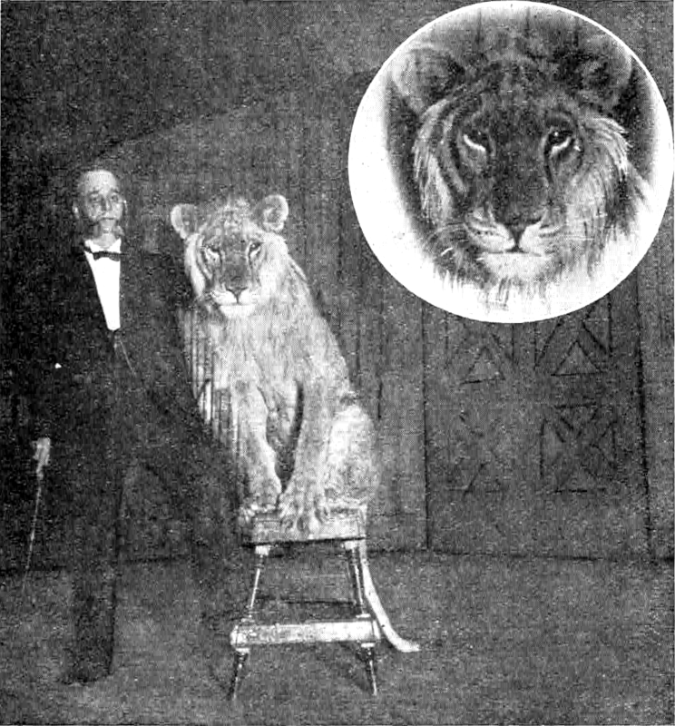 Photograph of Woolston standing next to a seated lion
