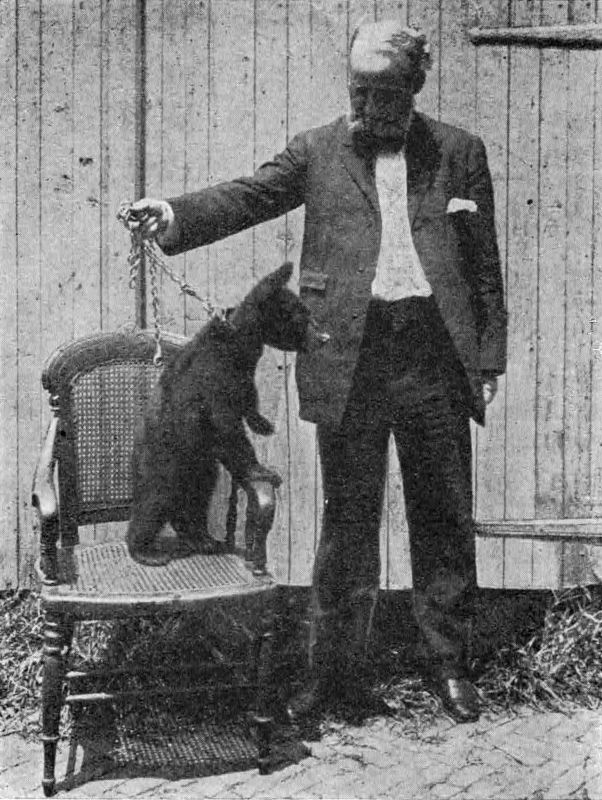 Photograph of Woolston standing next to a bear cub on a chair