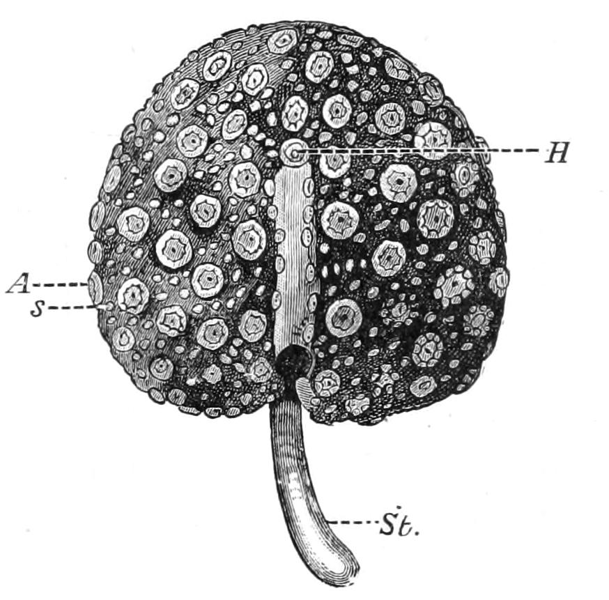 fig160