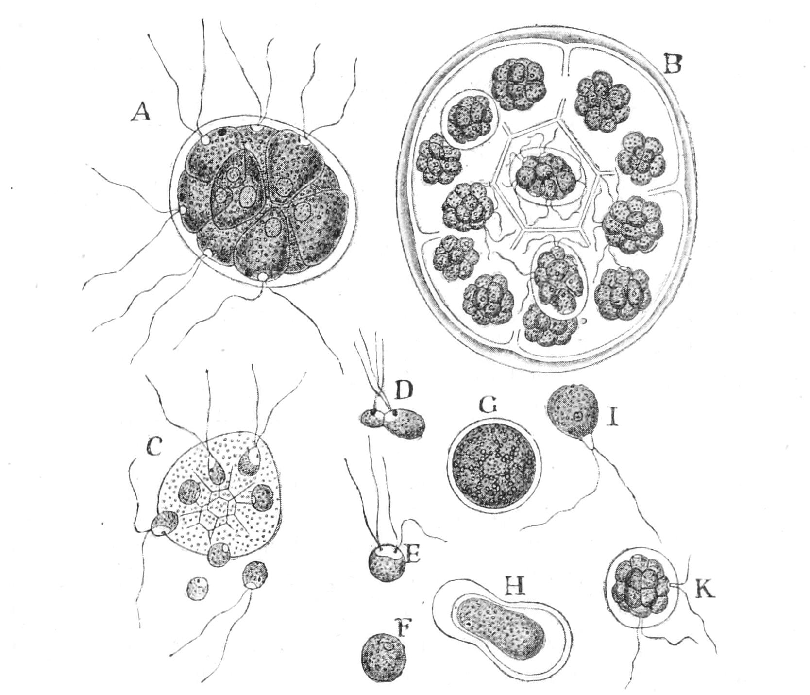 fig45