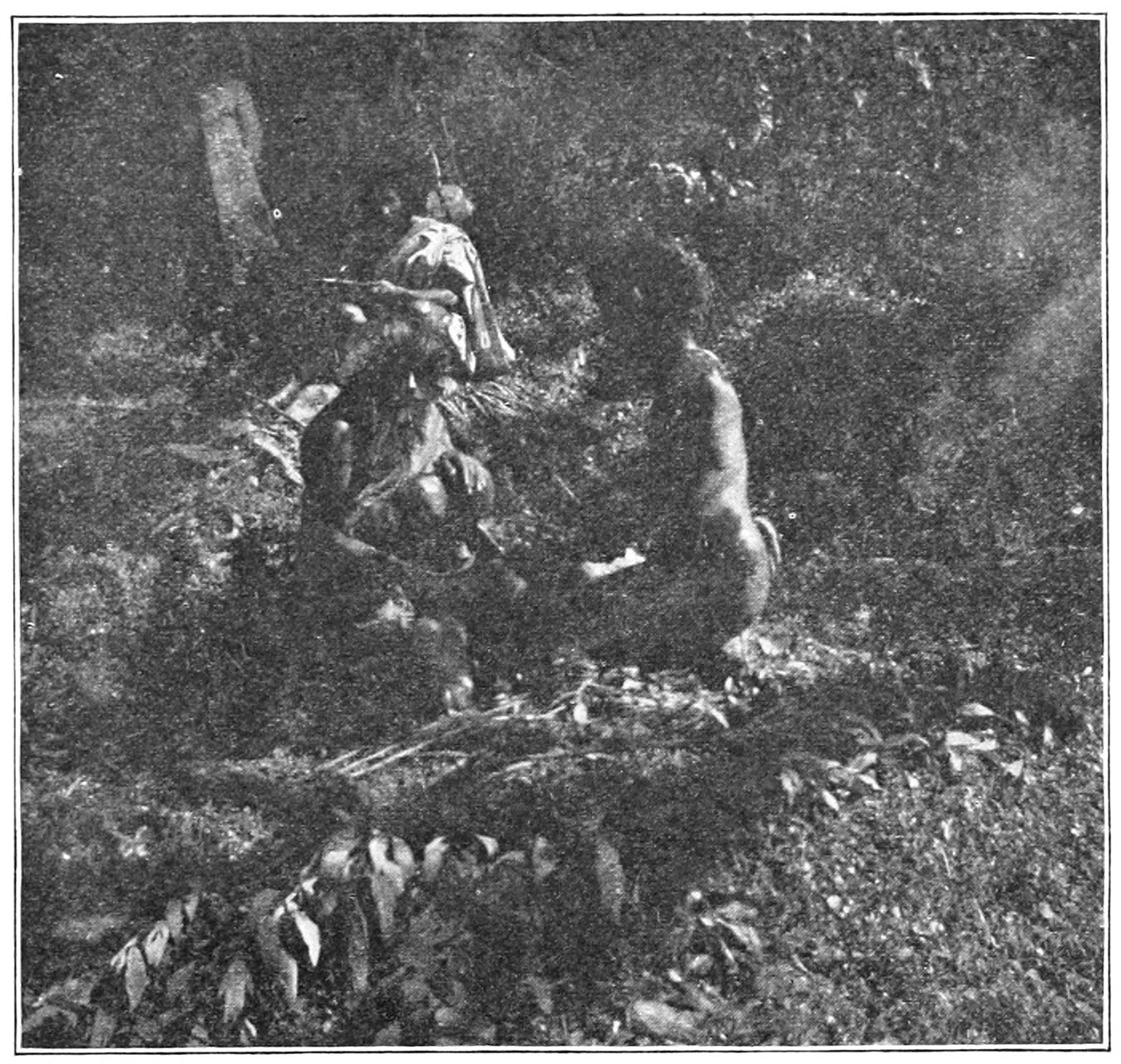 FIG. 40.—PUNATVAN AND PICHIEVAN CUTTING UP THE CALF. IN THE BACKGROUND KÒDRNER IS SHARPENING UP THE ‘KO.’