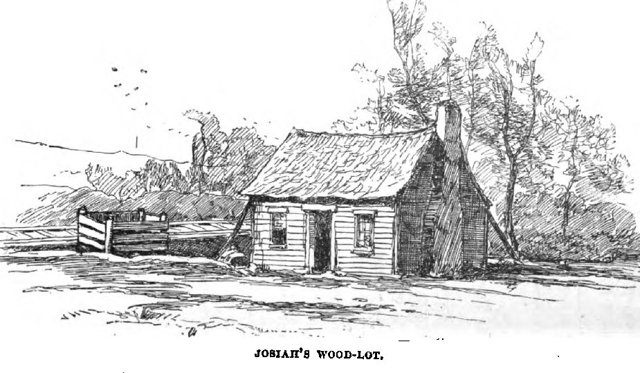 Josiah's Wood-lot