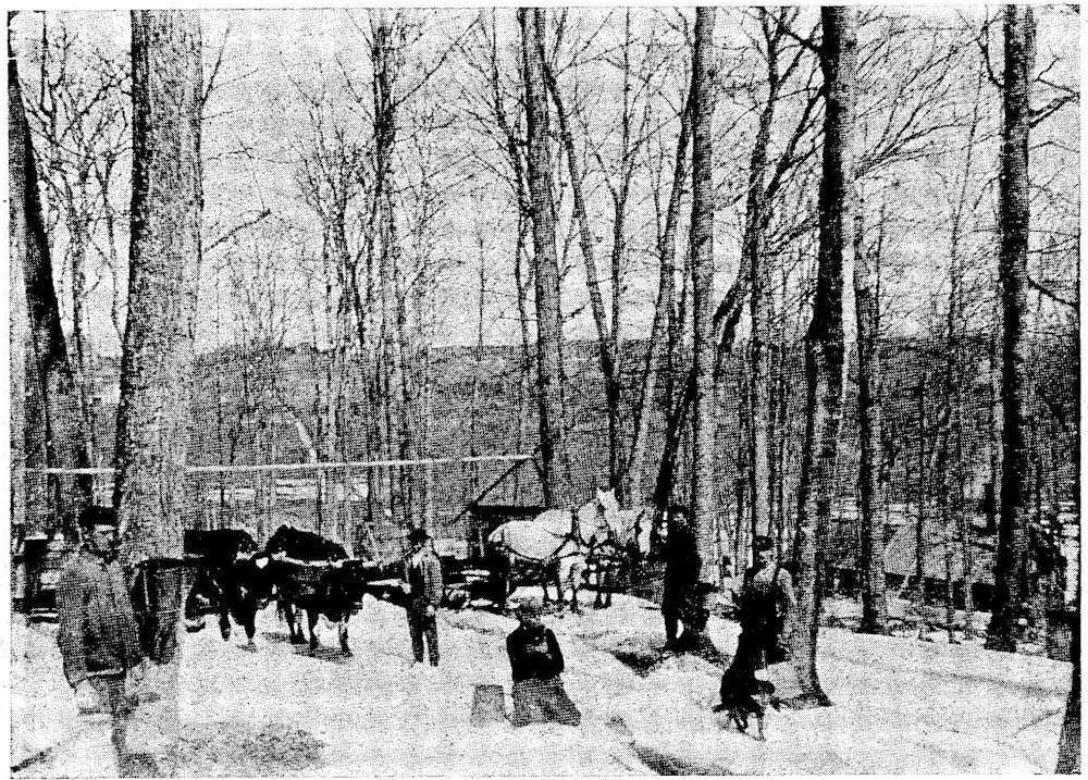 A History of Vermont’s Maple Sugar Industry Project Gutenberg
