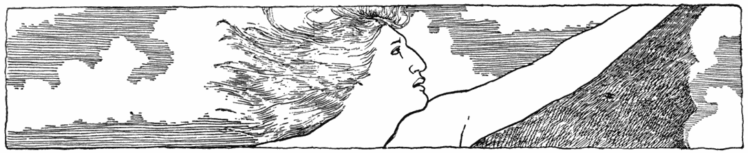 THE HUNTER WHO COULD FLY