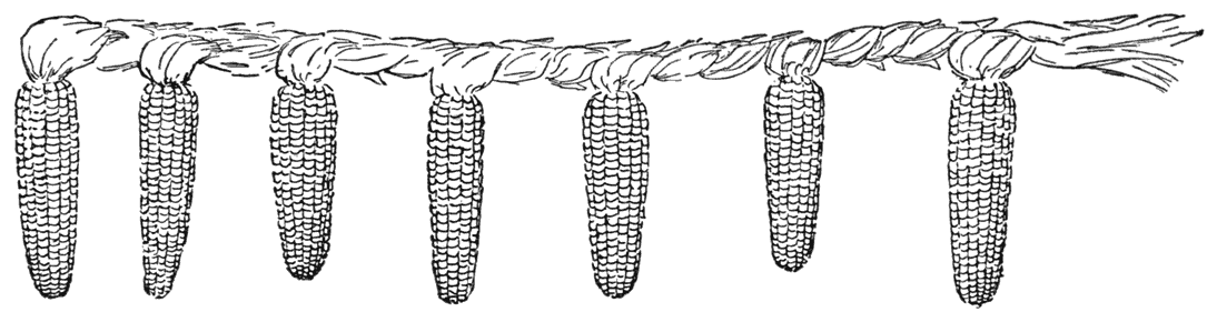 THE MARRIAGE OF MONDAHMIN