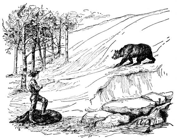 The bear's mate came bounding down the slope to
her rescue