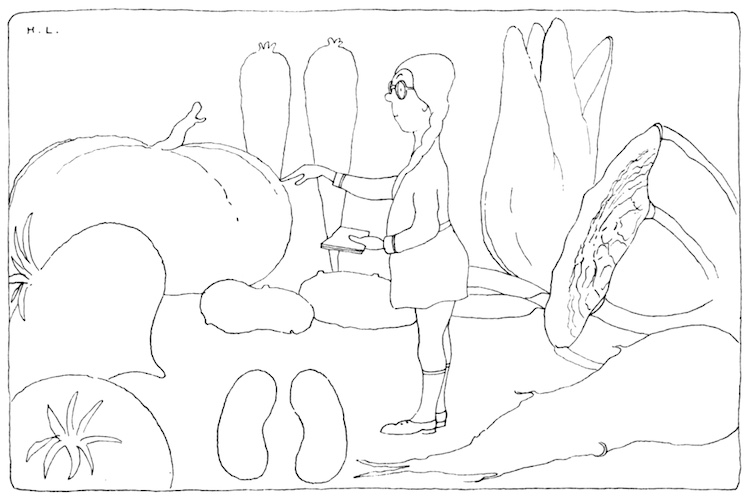 THE VEGETABLE SCHOOL