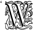 'W