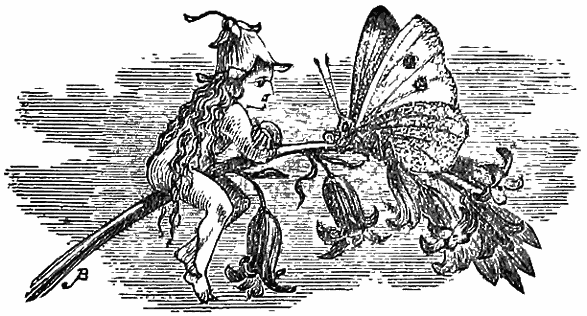 Piskey with butterfly sitting on flower.