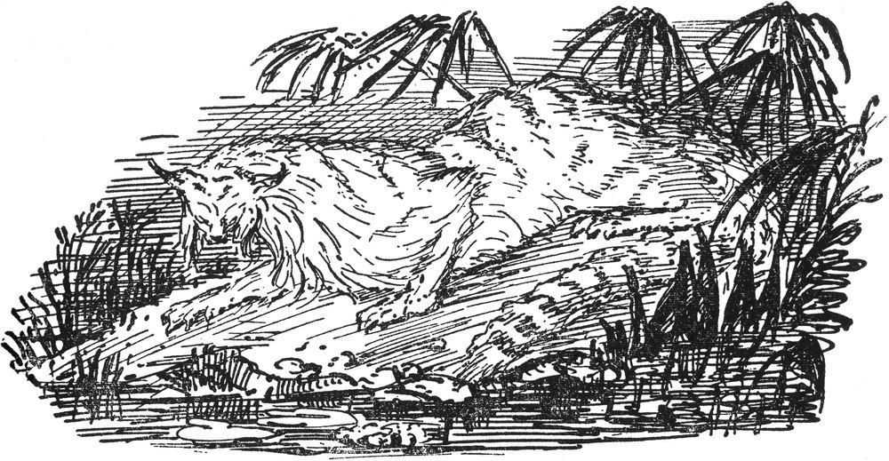 Ein persischer Tiger im
  Gebüsch