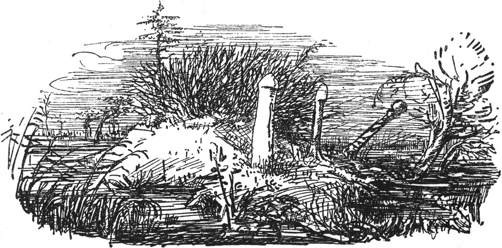 Ein unheimlicher Ort an
  einem Sumpf