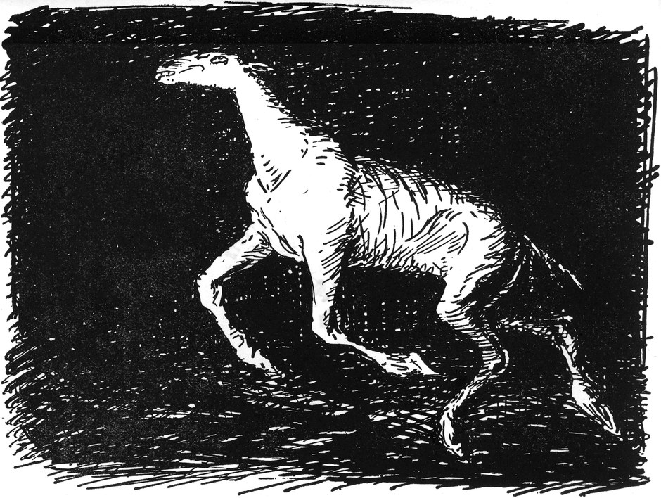 Das abgemagerte Pferd im
  finsteren Souterrain