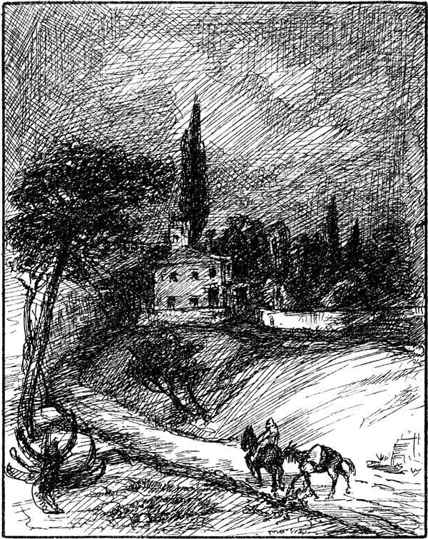 Unterwegs mit Reitpferd und
  Lasttier