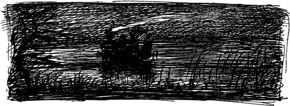 Mit der Lokomotive durch
  den Sumpf