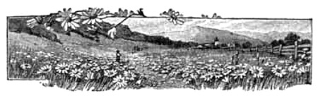 Lettera iniziale allegorica al banditismo