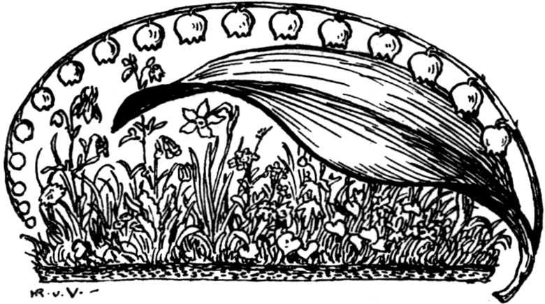 Eine dicht bewachsene
  Blumenwiese mit Maiglöckchen