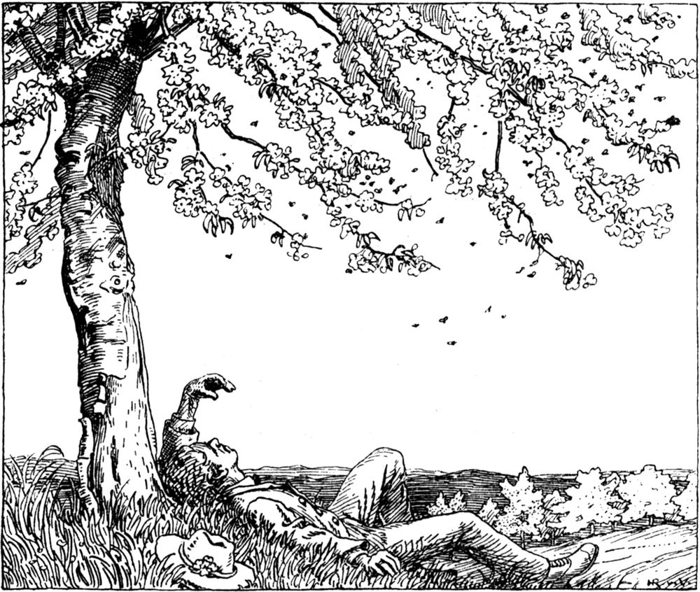 Ein junger Mann liegt im Gras
  unter einem blühenden Kirschbaum