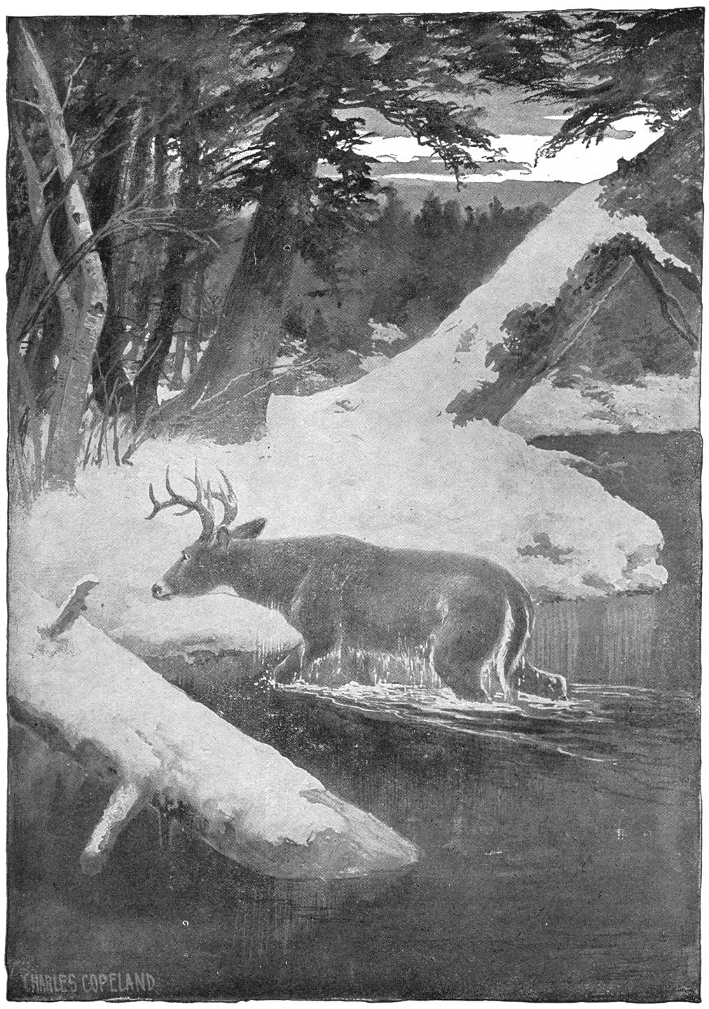 ... dat eindelijk is ontsnapt door een ijskoude rivier over te zwemmen ...