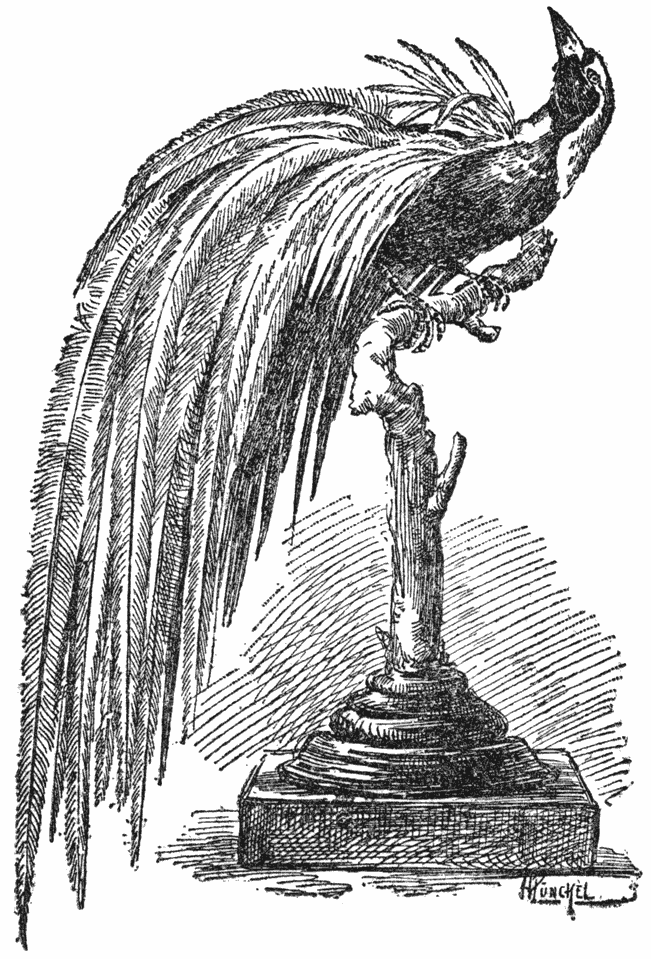 De „Prachtige Paradijsvogel”.