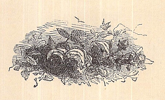 Chapter LV headpiece