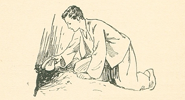 (Jack with scallop shell)