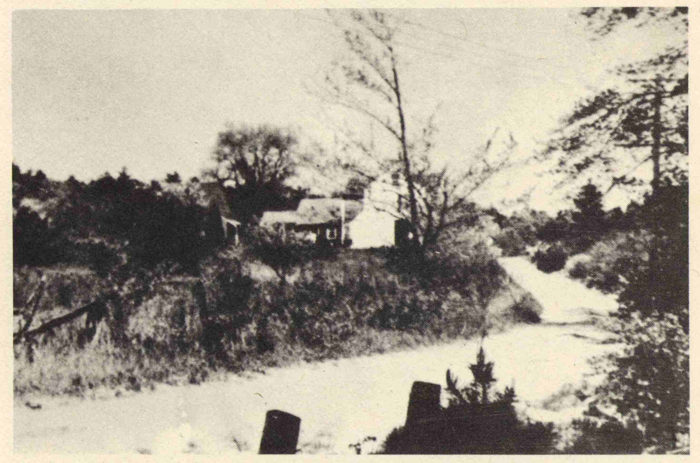 Road up from the Pond