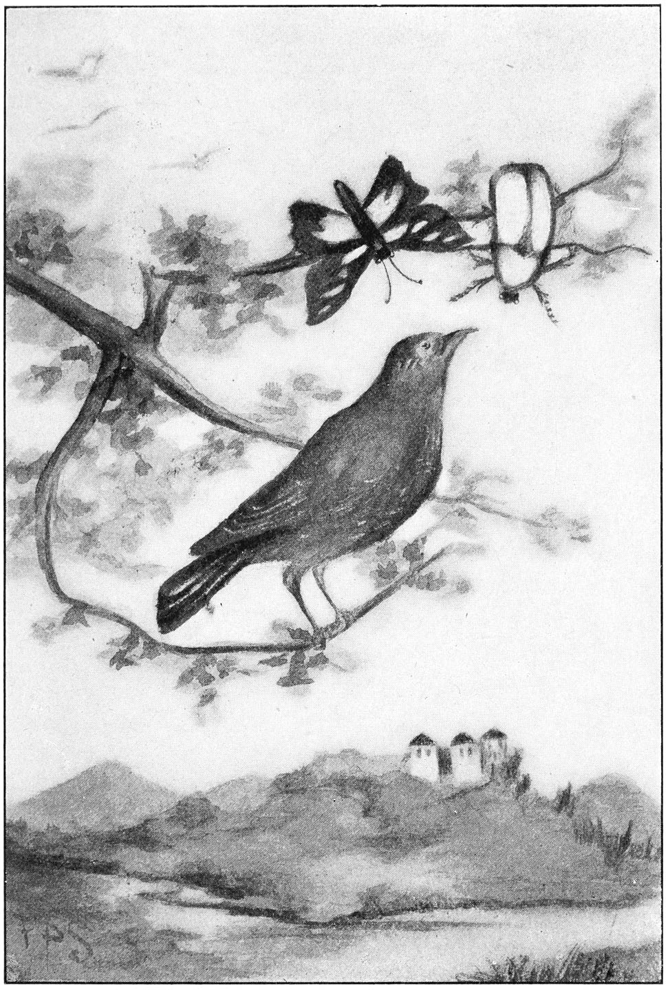 “The starling begged them to tell him their story.”