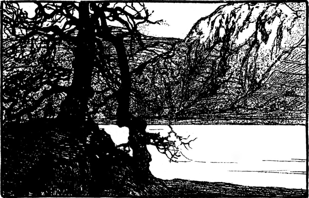 Blick auf ein Flusstal, zwei
  Bäume im Vordergrund