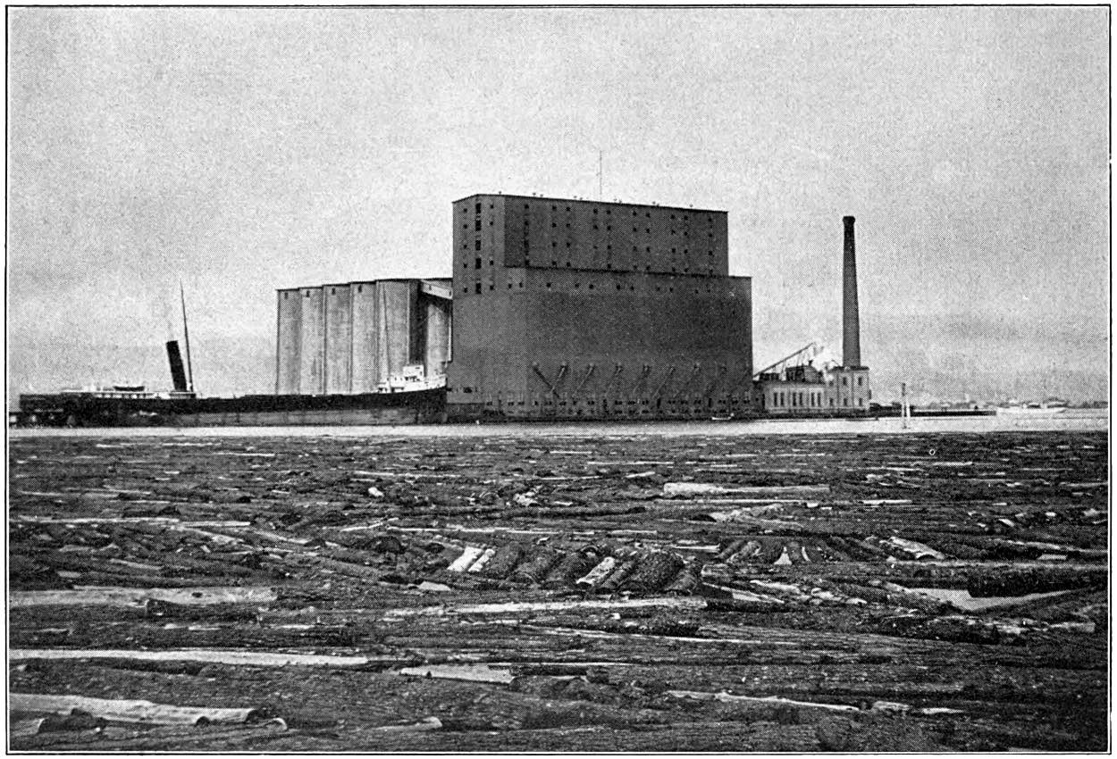 In the distance a grain elevator with numerous silos. In the foreground, a logjam on the surface of the water.