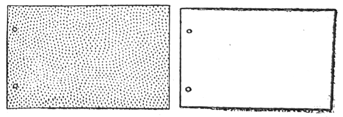 Covers with holes for rings