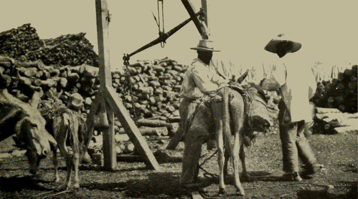 METHODS OF TRANSPORTING