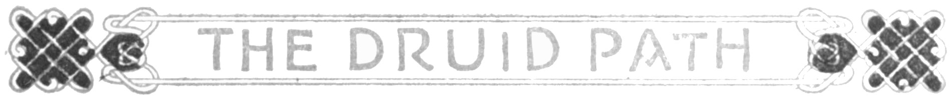The Druid Path
