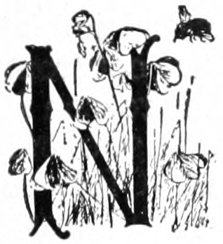 N